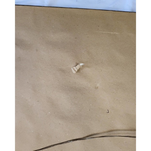 RARE LOW NUMBER Jim Daly " Home Team Zero" S/N 31/1500 - Picture 10 of 10